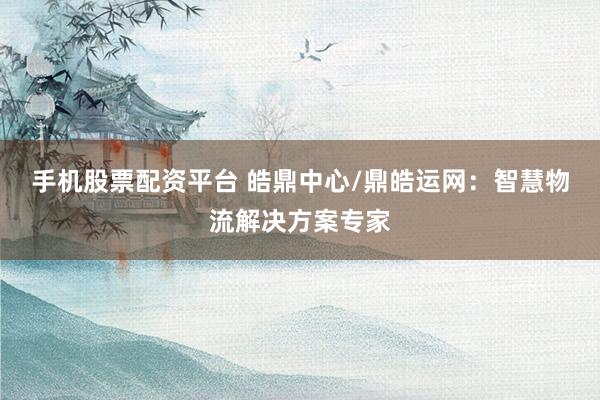 手机股票配资平台 皓鼎中心/鼎皓运网：智慧物流解决方案专家