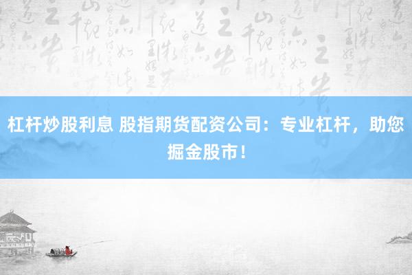 杠杆炒股利息 股指期货配资公司：专业杠杆，助您掘金股市！