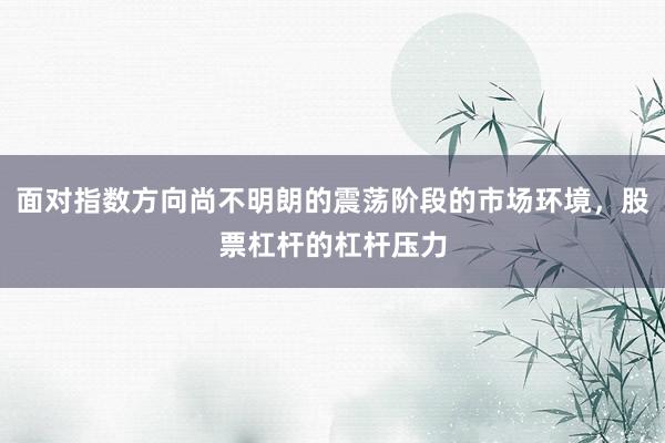 面对指数方向尚不明朗的震荡阶段的市场环境，股票杠杆的杠杆压力