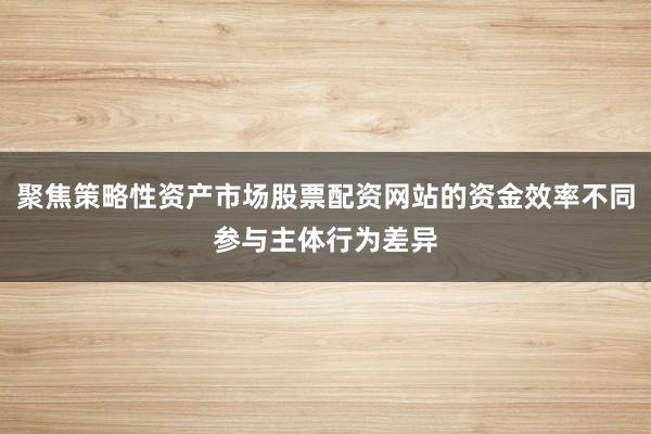 聚焦策略性资产市场股票配资网站的资金效率不同参与主体行为差异