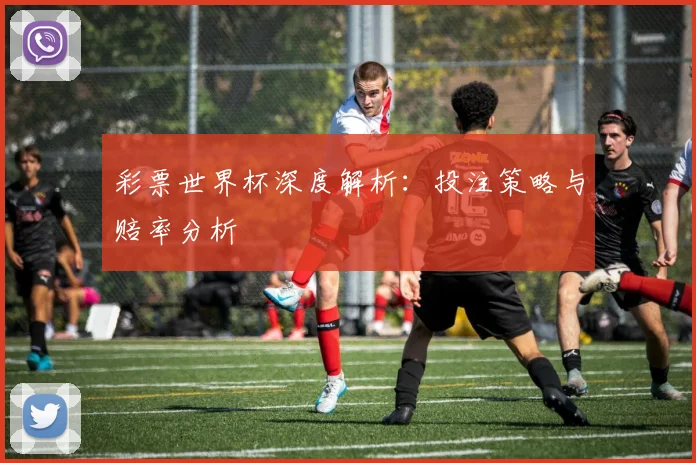 彩票世界杯深度解析:投注策略与赔率分析