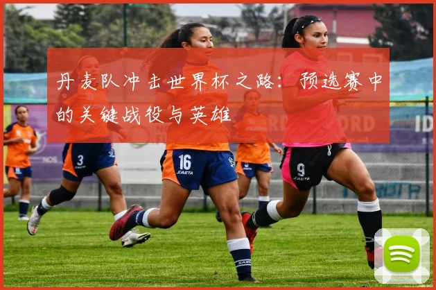 丹麦队冲击世界杯之路：预选赛中的关键战役与英雄
