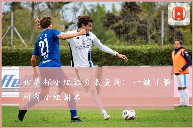 世界杯小组积分表查询：一键了解所有小组排名