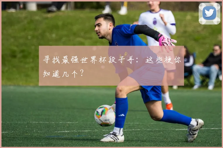 寻找最强世界杯段子手：这些梗你知道几个？