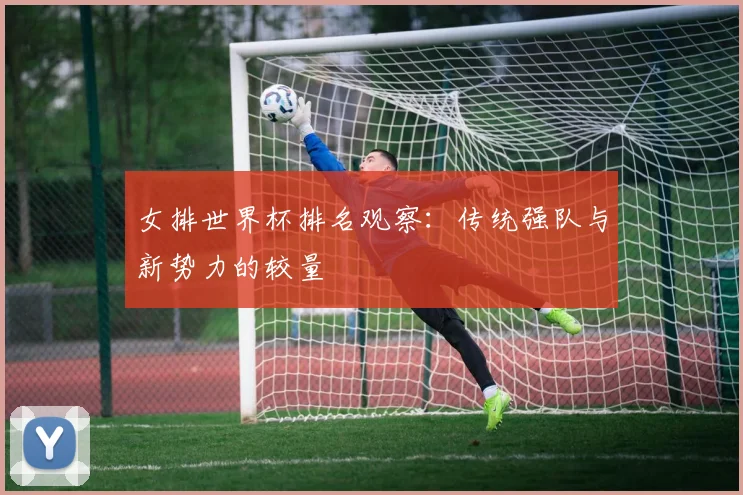 女排世界杯排名观察：传统强队与新势力的较量