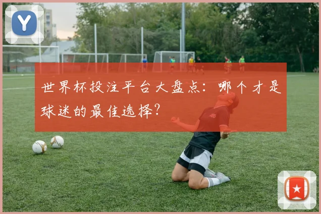 世界杯投注平台大盘点：哪个才是球迷的最佳选择？